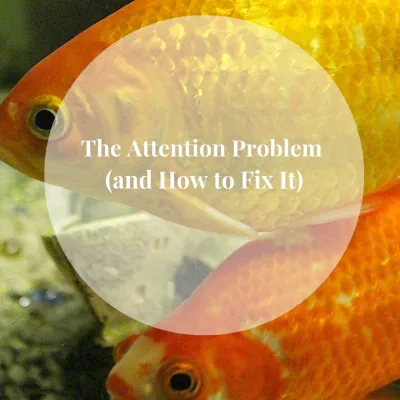 goldfish, attention, focus, ADHD